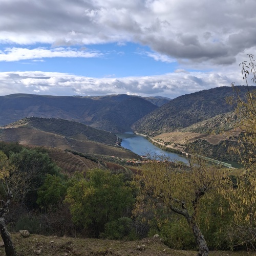 Vista desimpedida