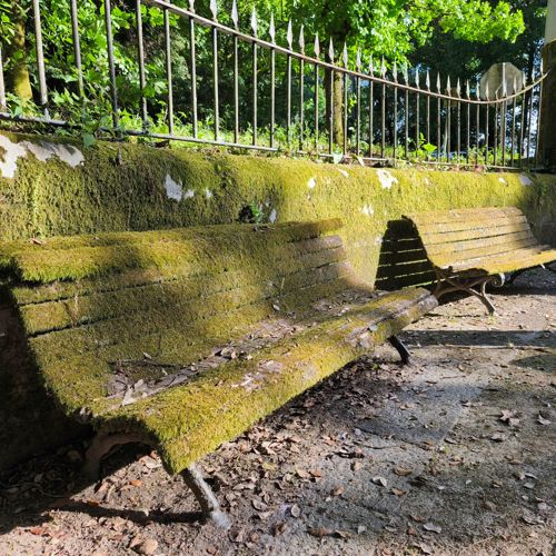 Quando o verde volta a sentar-se connosco
